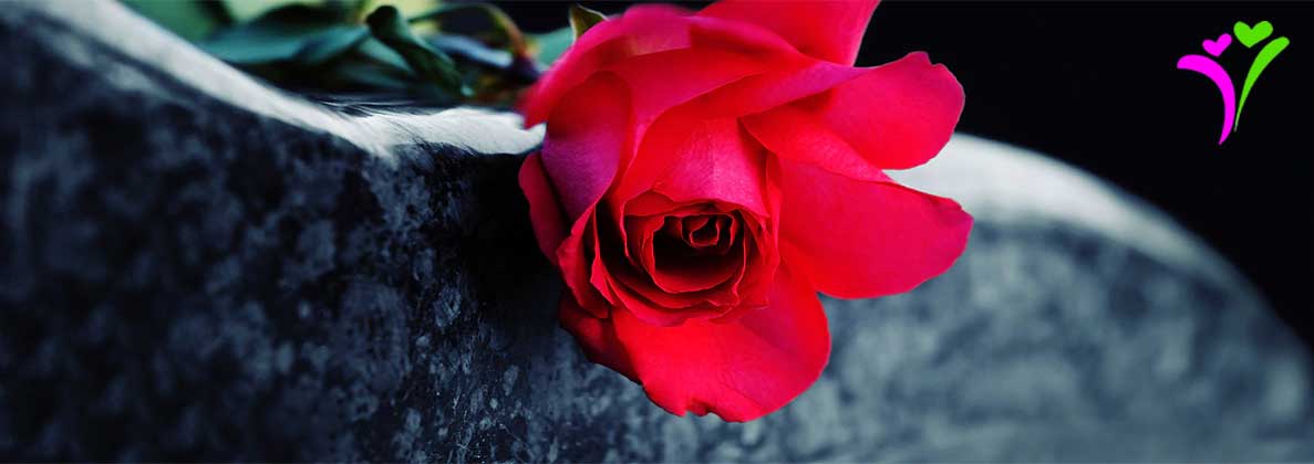 Life is full of possible and promises for widows and divorced ladies